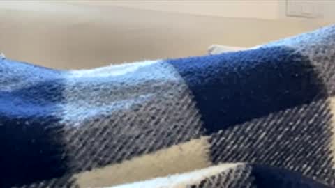 _muestroverga online show from 03.15.26