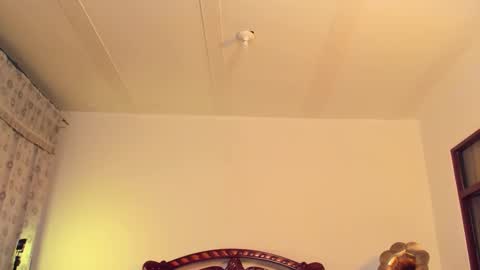 Sammy  online show from 03.19.26