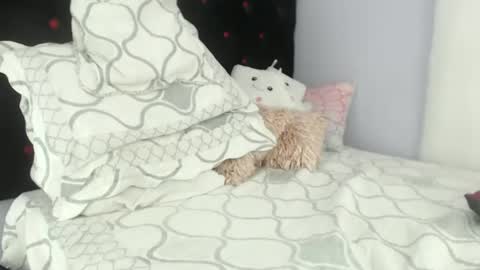 Alexa online show from 01.29.25