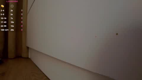 Snapshot of _smetanka_ chatting on 11.01.25 _smetanka_ online show from 11.01.25