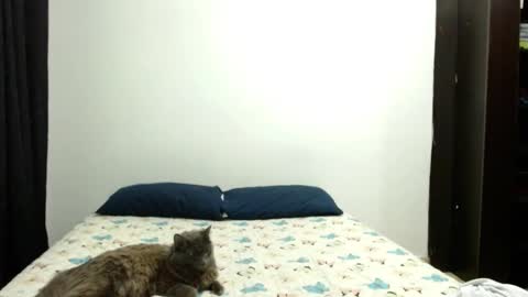 Sofia Parker online show from 10.03.25