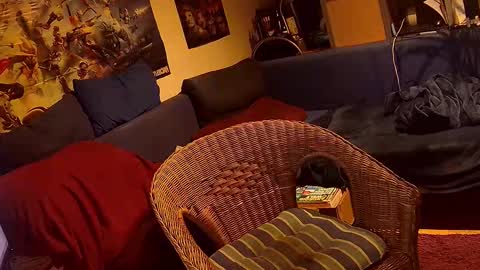 Sven online show from 11.03.25