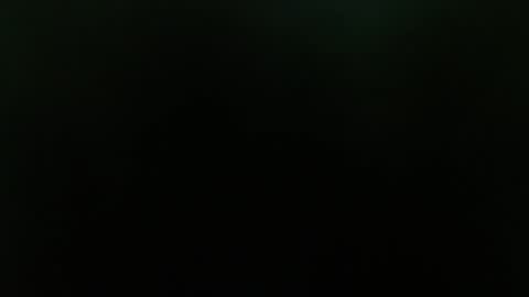  taisha online show from 01.25.25