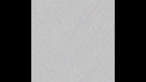 _tammarra_ online show from 03.25.26