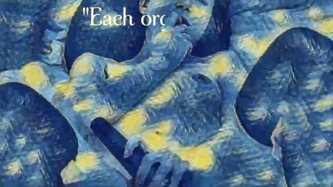 Snapshot of _the_sun_ chatting on 12.24.24 Evi online show from 12.24.24