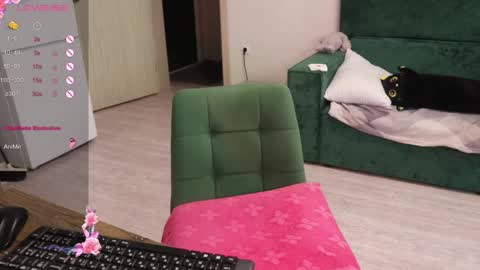 Alis online show from 12.30.24