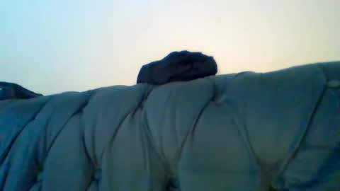 Zawadi online show from 02.01.25