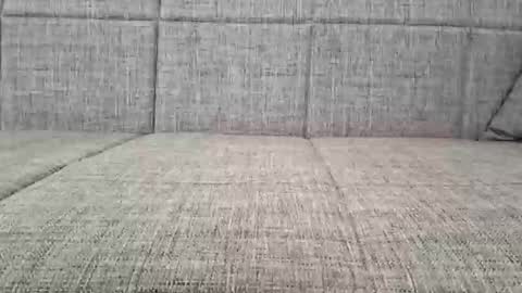 Snapshot of a7469 chatting on 10.10.25 XXL online show from 10.10.25