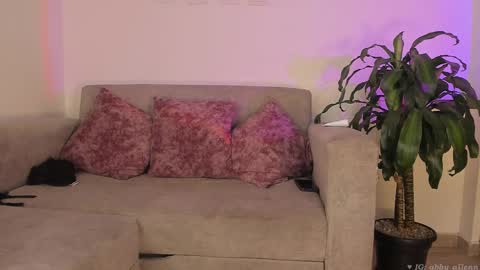 Abbey  IG abby allenn  04 December Online at  I will be on vacation dont forget me  See you soon   online show from 02.16.25