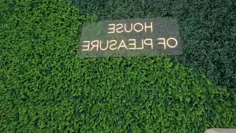 A B B Y online show from 02.19.25