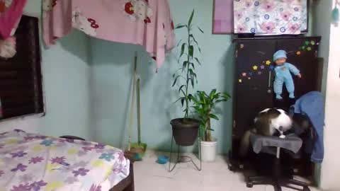 Snapshot of abbyasher chatting on 02.03.25 Abby online show from 02.03.25