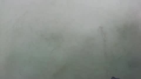 abella677022 online show from 02.16.26