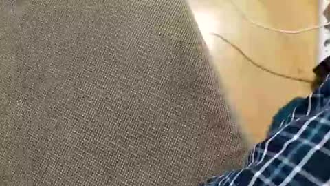 abepenix7 online show from 03.23.26