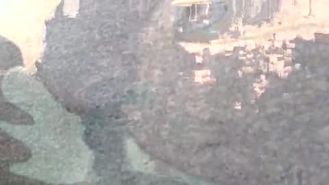 Snapshot of abisheksports96 chatting on 01.17.25 Masturbating boy online show from 01.17.25