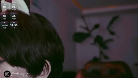 April  online show from 12.20.25