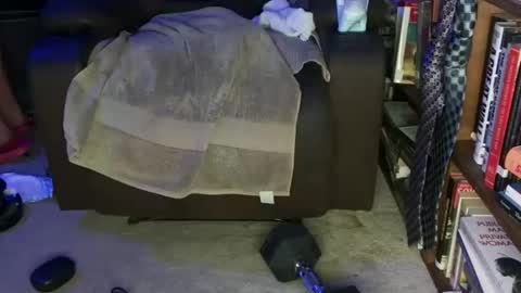 aCACiAs2022 online show from 02.14.26