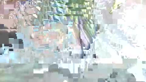 acexx8124 online show from 02.23.26