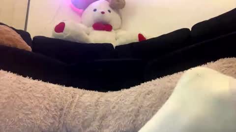 Snapshot of adam_1792 chatting on 02.18.25 ENIGMA TZX5114 online show from 02.18.25