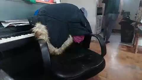 Adam and Logan online show from 02.18.26