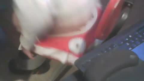 Snapshot of adamsny chatting on 01.20.25 adamsny online show from 01.20.25