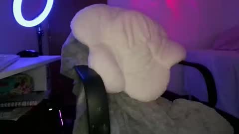 Adara online show from 02.05.26