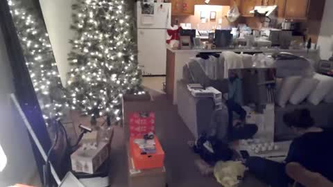 adorable22 online show from 12.20.24