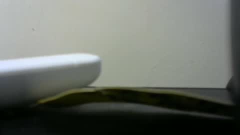 africanlovei online show from 01.02.25