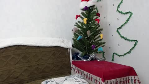 Agatha online show from 01.02.25