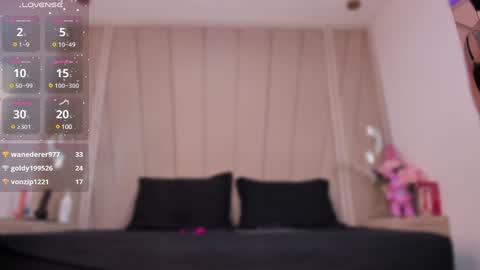 Snapshot of agatha_steel20 chatting on 01.20.25 Agatha Steel online show from 01.20.25