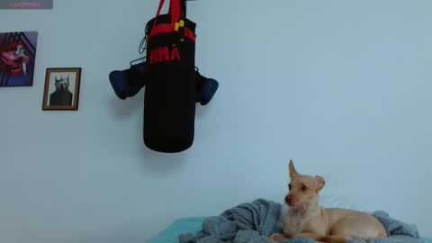 Snapshot of agness_6 chatting on 10.20.25 Agness online show from 10.20.25