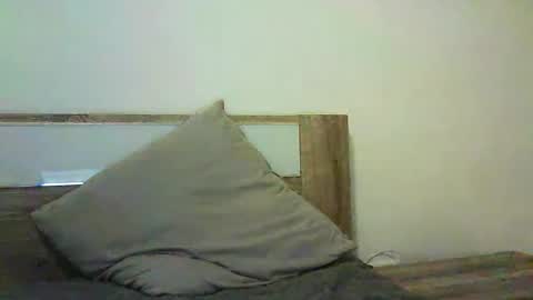 Selena online show from 11.04.25