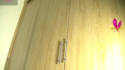 Snapshot of aidaadams chatting on 11.02.25 Aida online show from 11.02.25