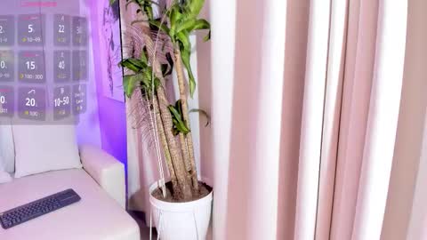   online show from 12.19.25