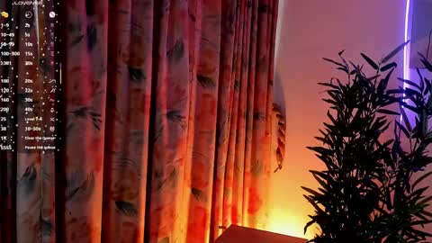 Snapshot of aisha_bx chatting on 03.01.25 Aisha online show from 03.01.25