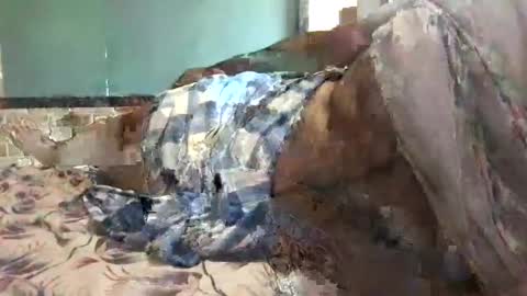 BigHairyGuy online show from 12.16.24