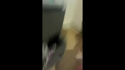 akkavo88 online show from 04.19.26