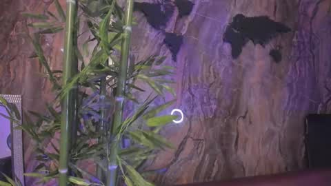 ALAHIA online show from 01.13.26