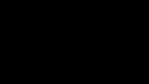 Alan Vidal online show from 01.07.26