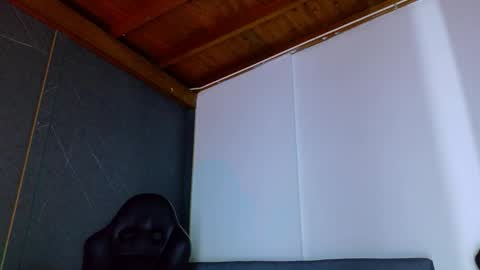 Snapshot of alanferrer chatting on 02.03.26 Alan Ferrer online show from 02.03.26