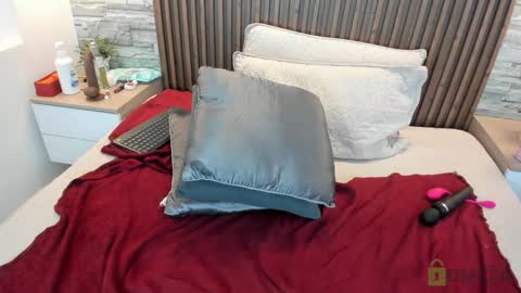 Snapshot of alannavidal chatting on 02.04.25 alannavidal online show from 02.04.25