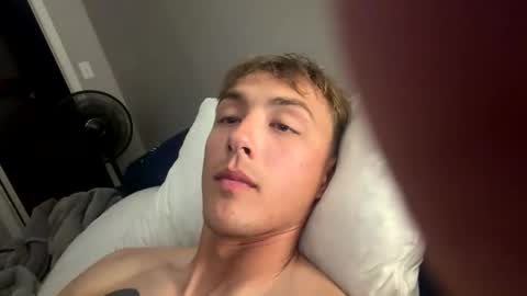 alaskanhorse online show from 02.18.26