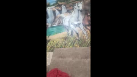 Snapshot of albina6543 chatting on 02.09.26 albina online show from 02.09.26