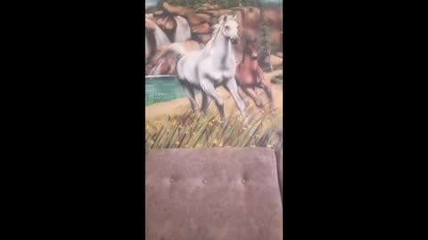 Snapshot of albina6543 chatting on 02.16.26 albina online show from 02.16.26