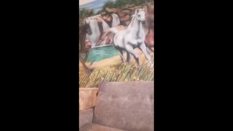 Snapshot of albina6543 chatting on 02.24.26 albina online show from 02.24.26