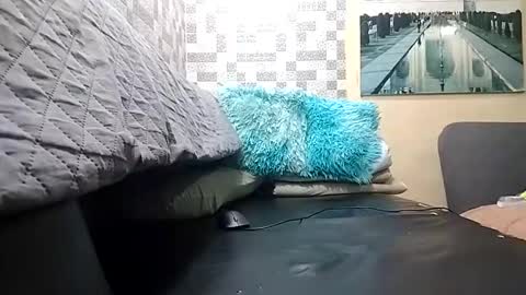 haden online show from 04.01.26