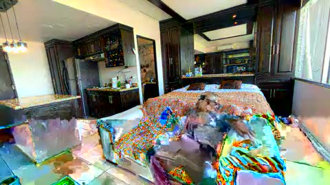 alenart online show from 02.02.25