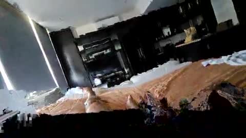 alenart online show from 02.02.25