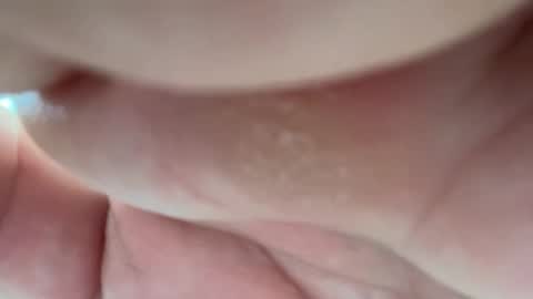 Alessandrobuilder online show from 04.14.26