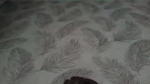 Aletta Oushen online show from 01.12.25