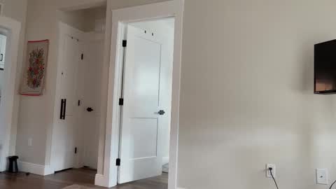 alex  online show from 10.22.25